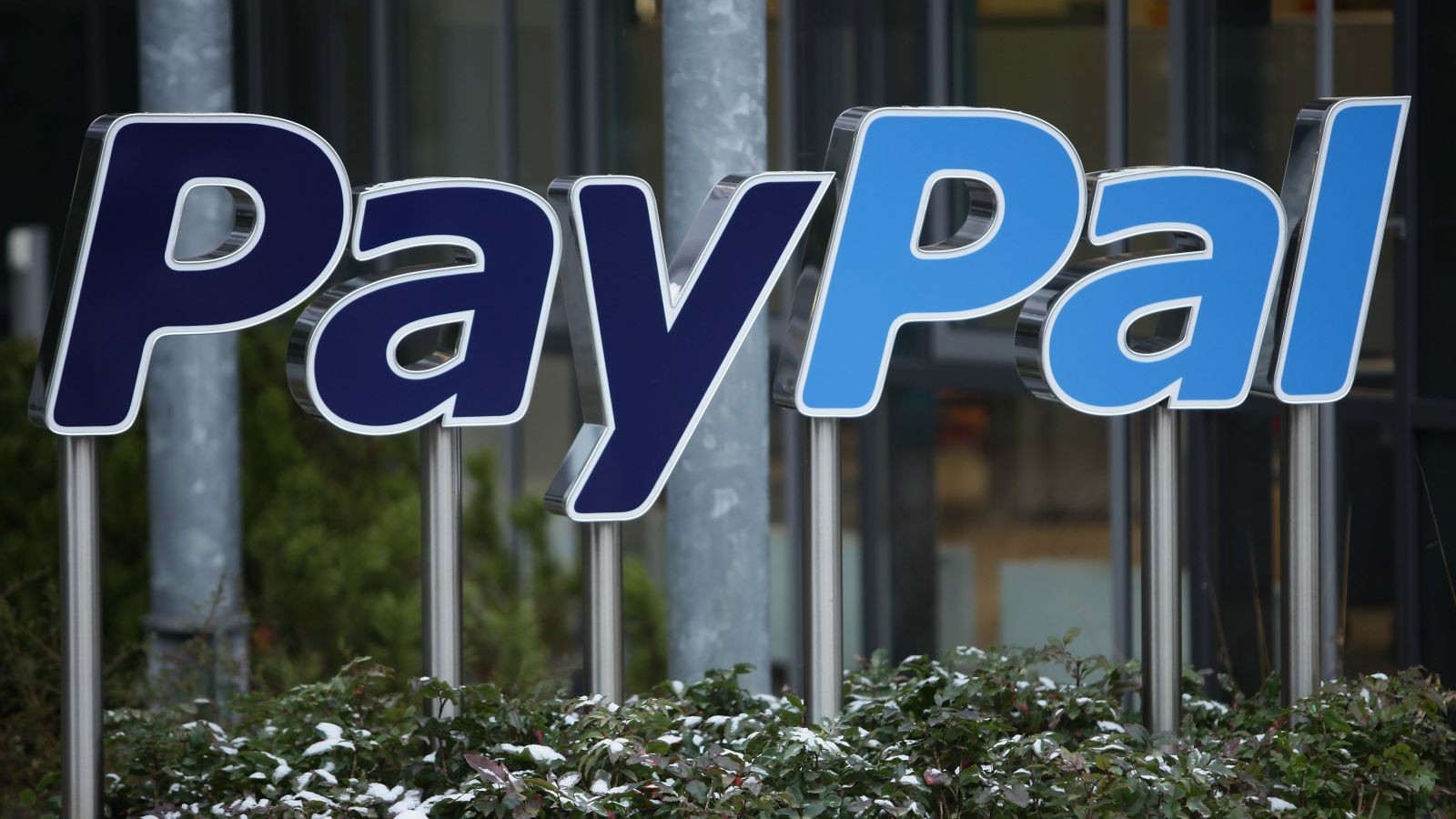 paypal