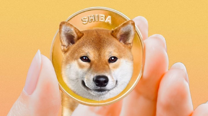 Kripto-para-piyasalari-Shiba-Inuyu-konusuyor-105646