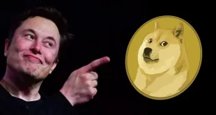 elon-musk-dogecoin-hakkinda-ilginc-paylasim1