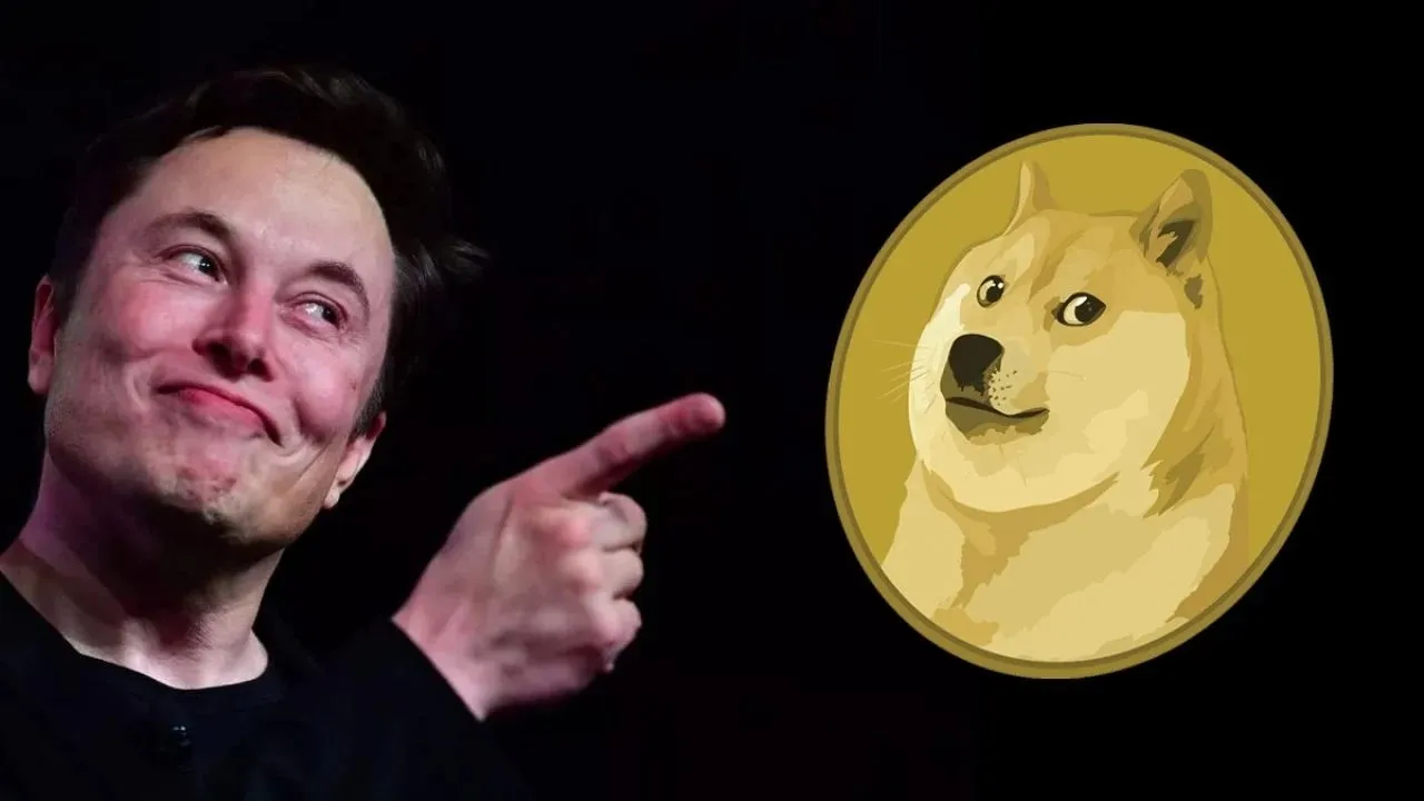 elon-musk-dogecoin-hakkinda-ilginc-paylasim1